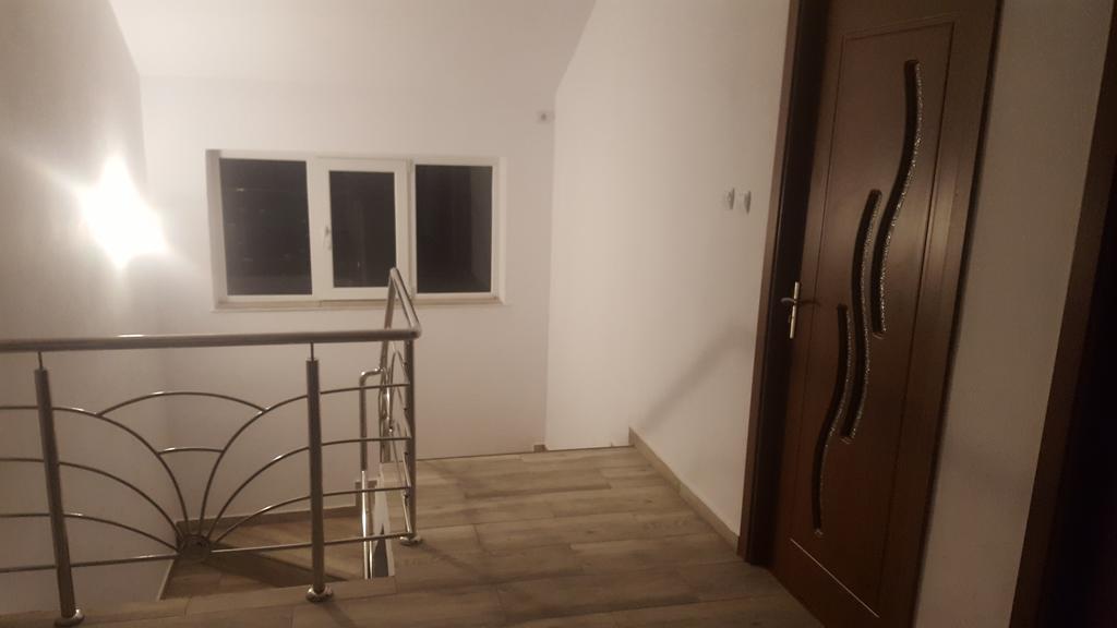 Vila Alex Hotel Calimanesti Exterior photo